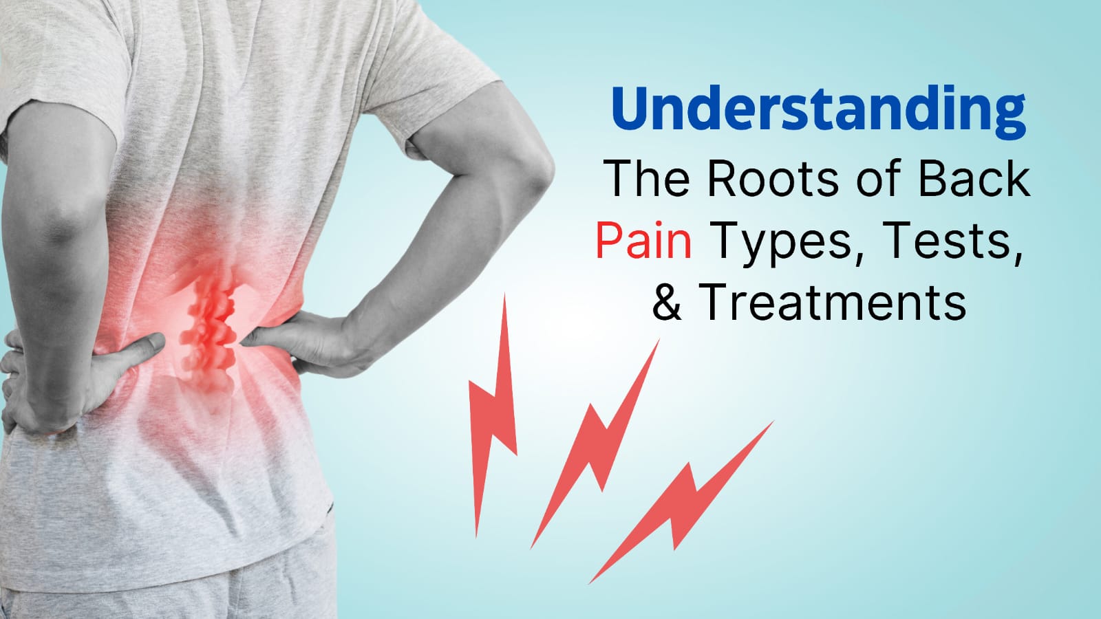 Understanding the Roots of Back Pain Types, Tests, & Treatments