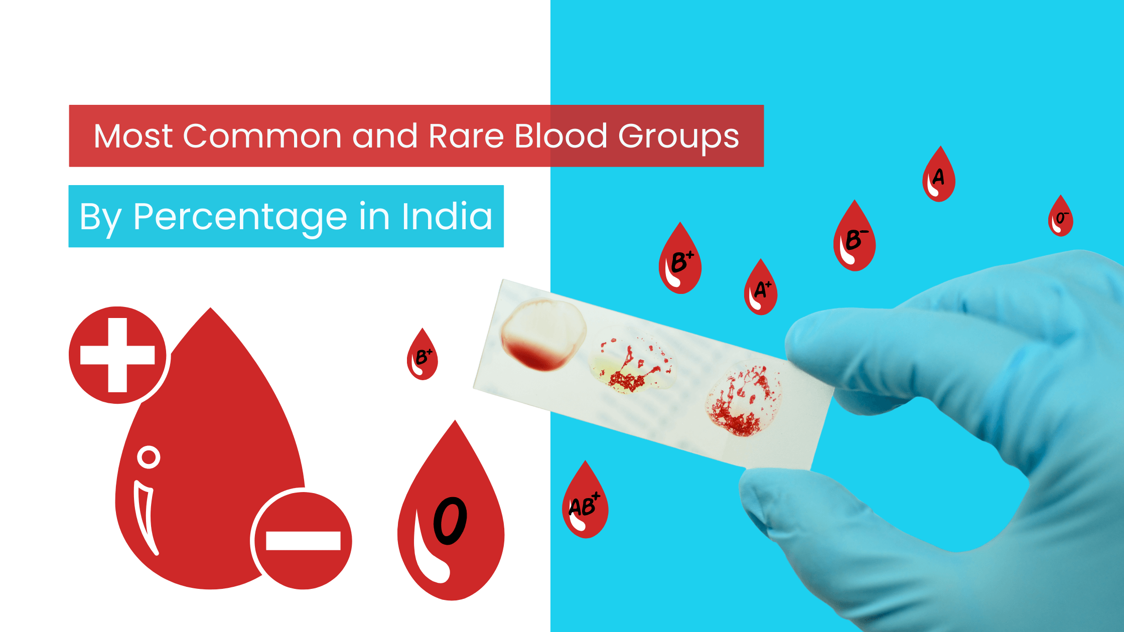 Most Common and Rare Blood Groups by Percentage in India