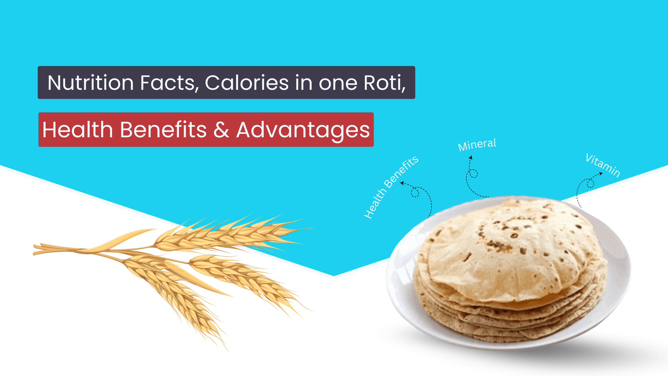 Roti: Nutrition Facts, Calories in one Roti, Health Benefits & advantages